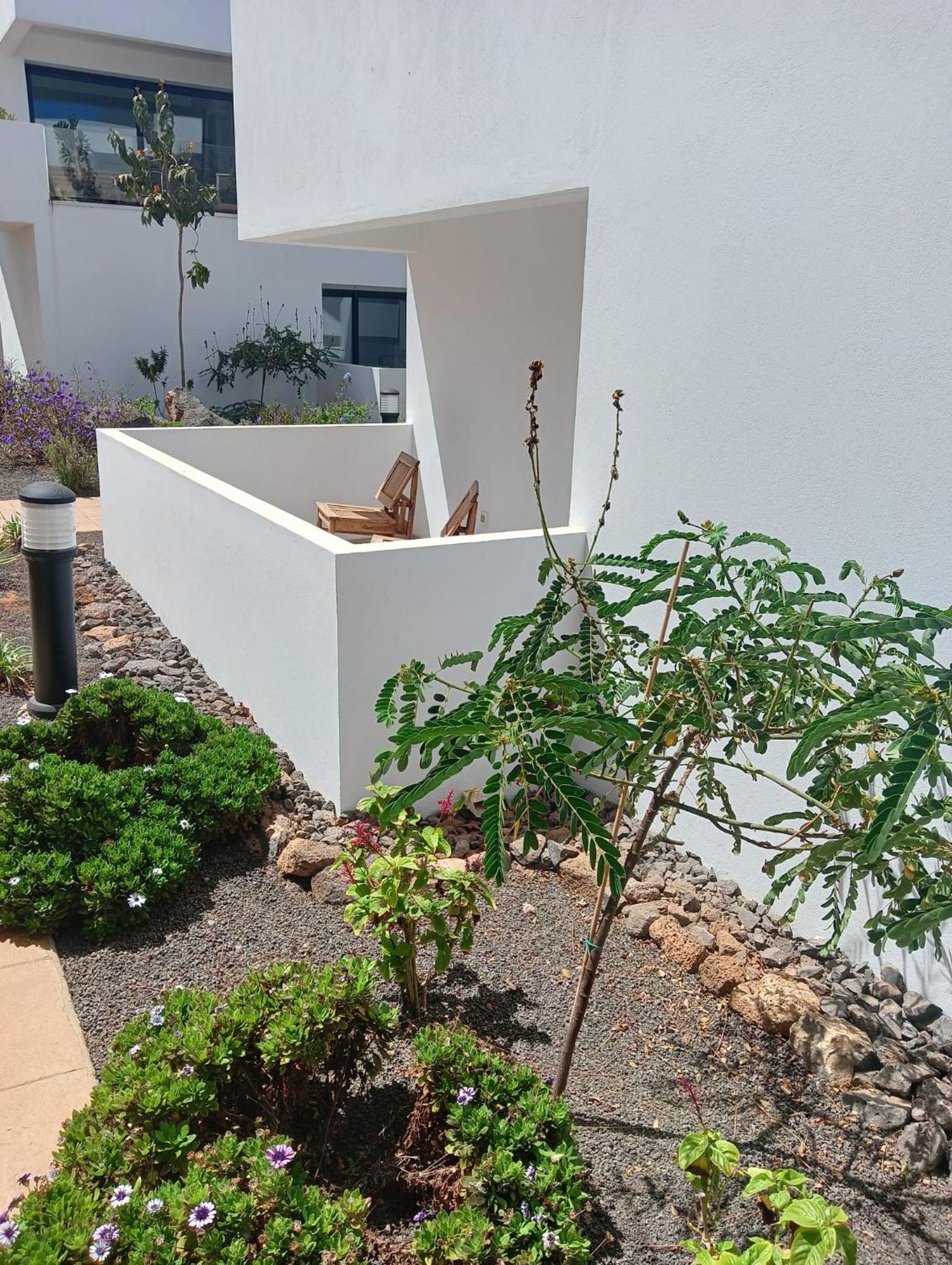 شقة Aulaga Villaverde  المظهر الخارجي الصورة